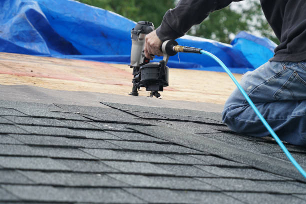 Best Storm Damage Roof Repair  in Jamestown, TN